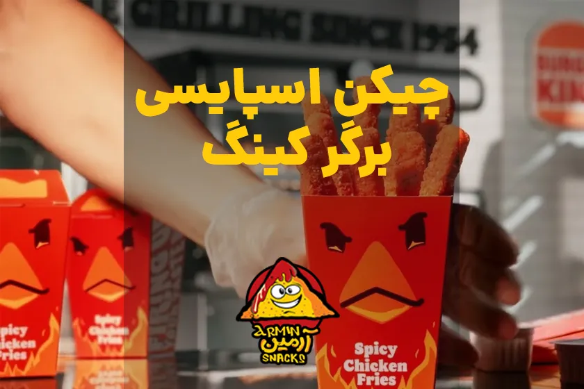 چیکن اسپایسی برگر کینگ